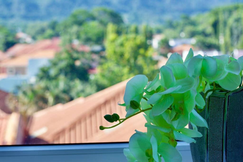 Lujoso y acogedor condominio ejecutivo/familiar San Pedro Sula Exterior foto